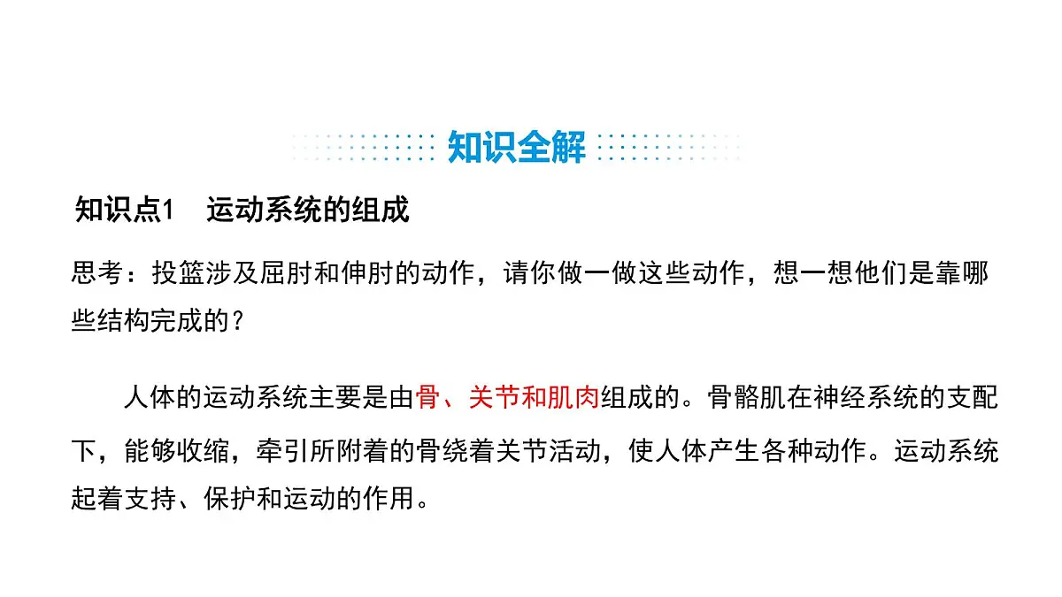 人教版（2024）生物八年级上册4.6.3 神经系统支配下的运动（课件）第4页