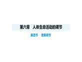 人教版（2024）生物八年級上冊4.6.4 激素調(diào)節(jié)（課件）