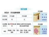 人教版（2024）生物八年級上冊4.6.4 激素調(diào)節(jié)（課件）