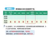 人教版（2024）生物八年級上冊4.7.1 傳染病及其預(yù)防（課件）