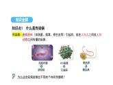 人教版（2024）生物八年級上冊4.7.1 傳染病及其預(yù)防（課件）