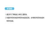 人教版（2024）生物八年級上冊4.7.2 免疫與免疫規(guī)劃（第1課時）（課件）