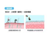 人教版（2024）生物八年級上冊4.7.2 免疫與免疫規(guī)劃（第1課時）（課件）