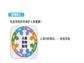 人教版（2024）生物八年級(jí)上冊(cè)4.7.2 免疫與免疫規(guī)劃（第2課時(shí)）（課件）