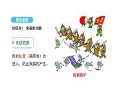 人教版（2024）生物八年級(jí)上冊(cè)4.7.2 免疫與免疫規(guī)劃（第2課時(shí)）（課件）