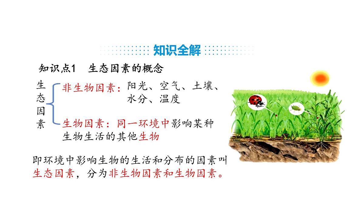 人教版（2024）生物八年级上册5.1.1 生物与环境的相互作用（课件）第4页