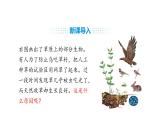 人教版（2024）生物八年級(jí)上冊(cè)5.1.2 生態(tài)系統(tǒng)的結(jié)構(gòu)和功能（第1課時(shí)）（課件）