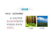 人教版（2024）生物八年級(jí)上冊(cè)5.1.2 生態(tài)系統(tǒng)的結(jié)構(gòu)和功能（第1課時(shí)）（課件）