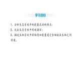 人教版（2024）生物八年級(jí)上冊(cè)5.1.2 生態(tài)系統(tǒng)的結(jié)構(gòu)和功能（第2課時(shí)）（課件）