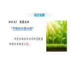 人教版（2024）生物八年級(jí)上冊(cè)5.1.2 生態(tài)系統(tǒng)的結(jié)構(gòu)和功能（第2課時(shí)）（課件）
