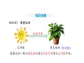 人教版（2024）生物八年級(jí)上冊(cè)5.1.2 生態(tài)系統(tǒng)的結(jié)構(gòu)和功能（第2課時(shí)）（課件）