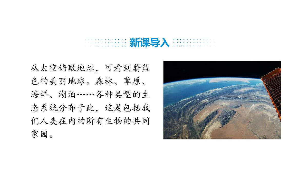 人教版（2024）生物八年级上册5.1.3 生物圈（课件）第2页