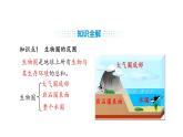 人教版（2024）生物八年級(jí)上冊(cè)5.1.3 生物圈（課件）