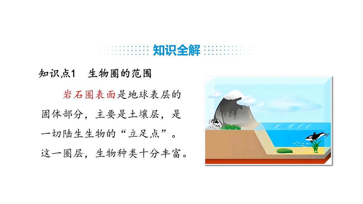 人教版（2024）生物八年级上册5.1.3 生物圈（课件）第7页