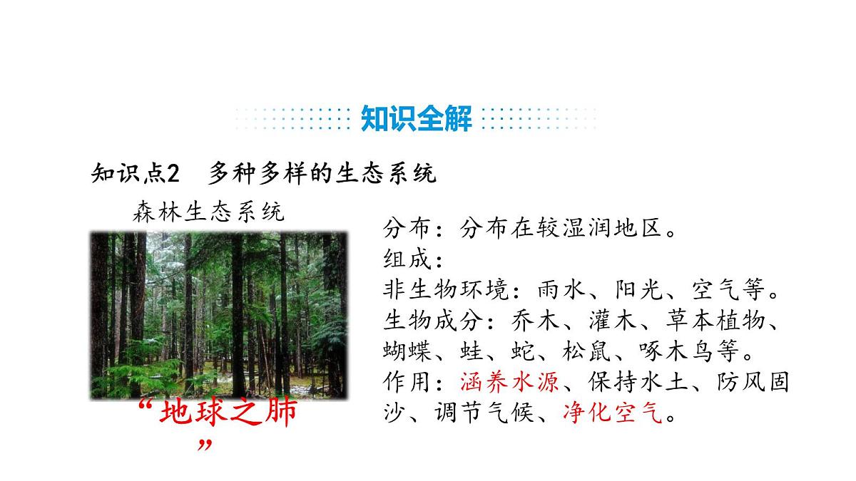 人教版（2024）生物八年级上册5.1.3 生物圈（课件）第8页