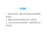 人教版（2024）生物八年級上冊5.2.1 分析人類活動對生態(tài)環(huán)境的影響（課件）