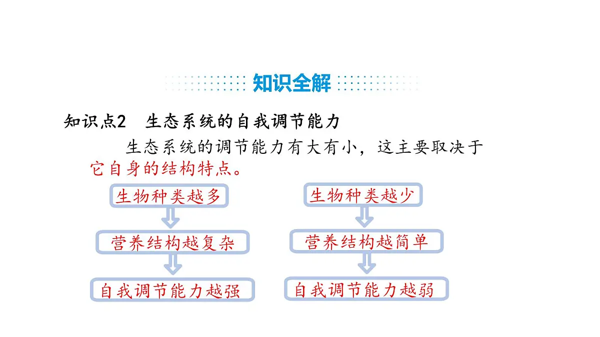 人教版（2024）生物八年级上册5.2.1 分析人类活动对生态环境的影响（课件）第7页