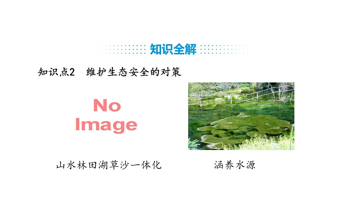 人教版（2024）生物八年级上册5.2.2 维护生态安全（课件）第5页