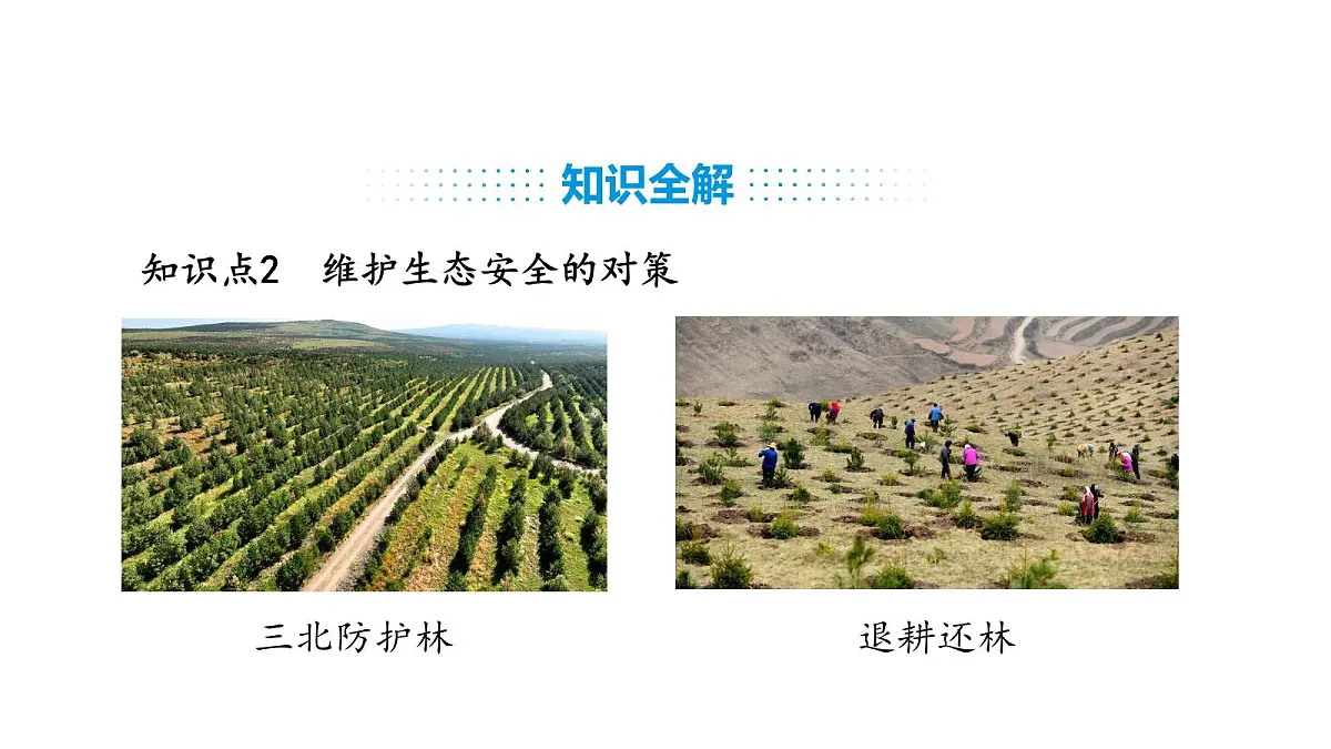 人教版（2024）生物八年级上册5.2.2 维护生态安全（课件）第7页