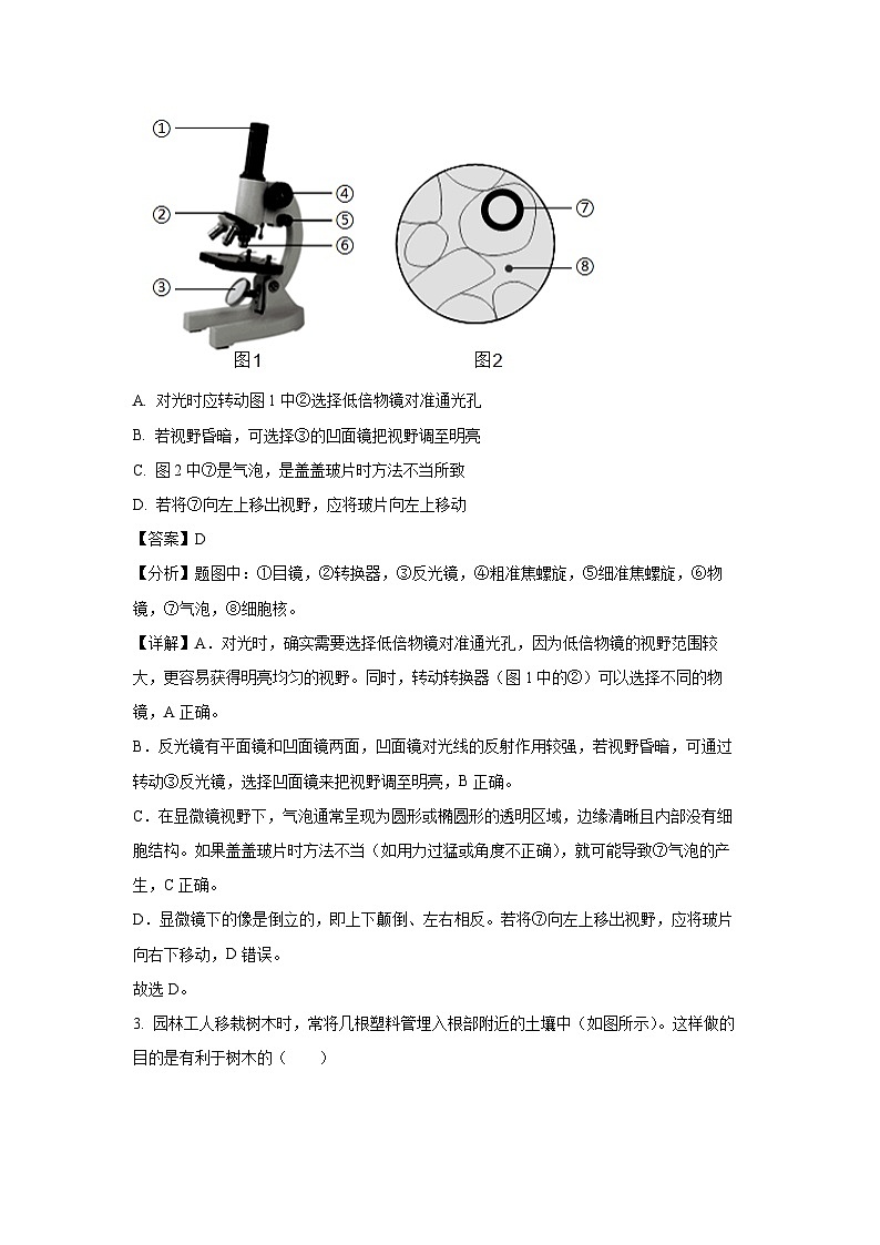 2025年河南省驻马店市汝南县部分初中八年级中考一模生物试卷（解析版）第2页