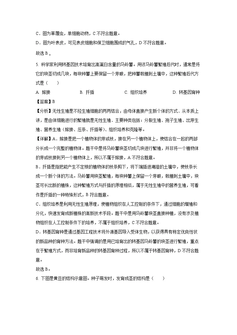 2025年福建省泉州市八年级中考二模生物试卷（解析版）第3页