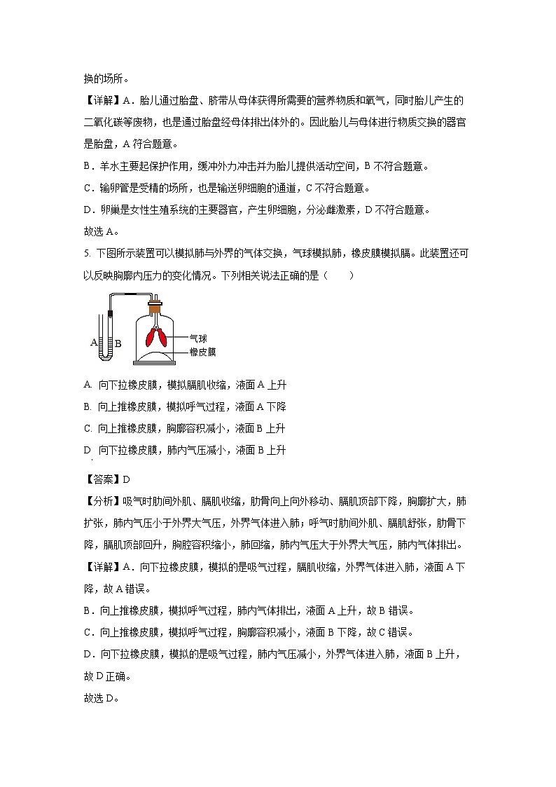 2025年甘肃省武威市凉州区东河、河东九年制学校中考二模生物试卷（解析版）第3页