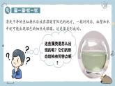 2.1.1藻类与植物的类群（教学课件）——初中生物人教版（2024）七年级上册课件