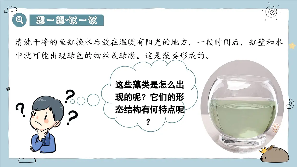 2.1.1藻类与植物的类群（教学课件）——初中生物人教版（2024）七年级上册课件第3页