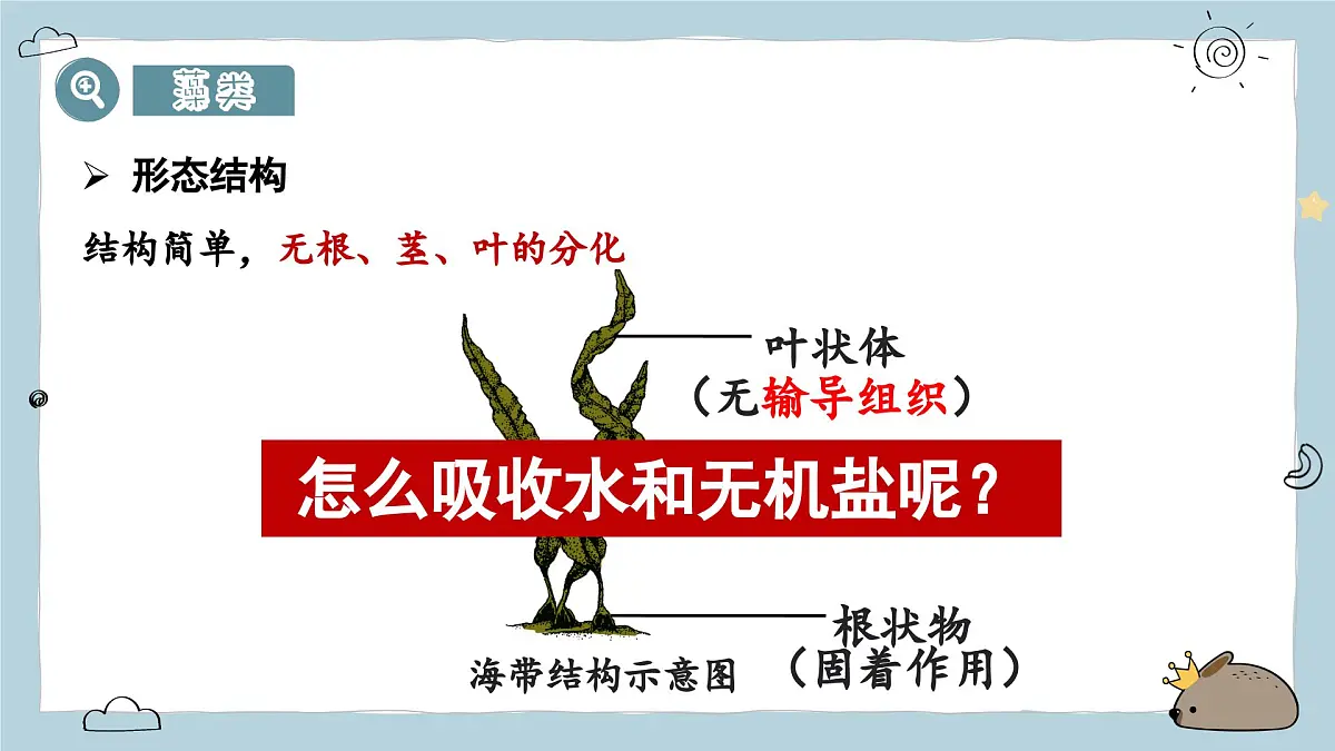 2.1.1藻类与植物的类群（教学课件）——初中生物人教版（2024）七年级上册课件第8页