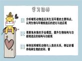 2.2.2（四）哺乳動物（教學課件）——初中生物人教版（2024）七年級上冊課件