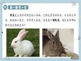 2.2.2（四）哺乳動物（教學課件）——初中生物人教版（2024）七年級上冊課件