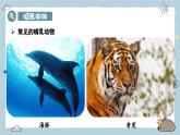 2.2.2（四）哺乳動物（教學課件）——初中生物人教版（2024）七年級上冊課件