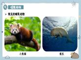 2.2.2（四）哺乳動物（教學課件）——初中生物人教版（2024）七年級上冊課件