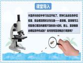 1.1.1顯微鏡的使用（教學(xué)課件）——初中生物學(xué)冀少版（2024）七年級上冊