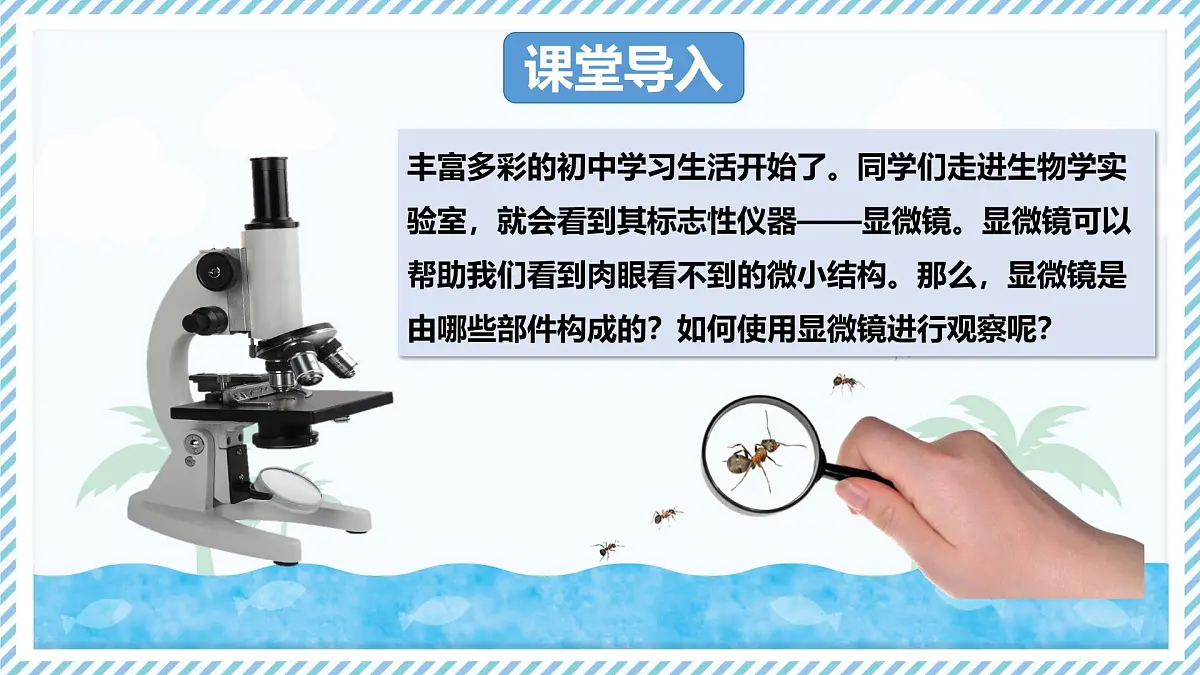 1.1.1显微镜的使用（教学课件）——初中生物学冀少版（2024）七年级上册第3页