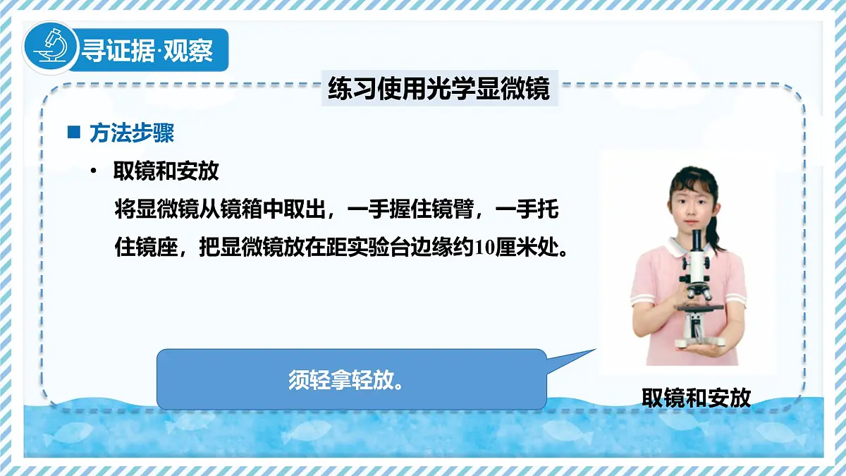 1.1.1显微镜的使用（教学课件）——初中生物学冀少版（2024）七年级上册第5页