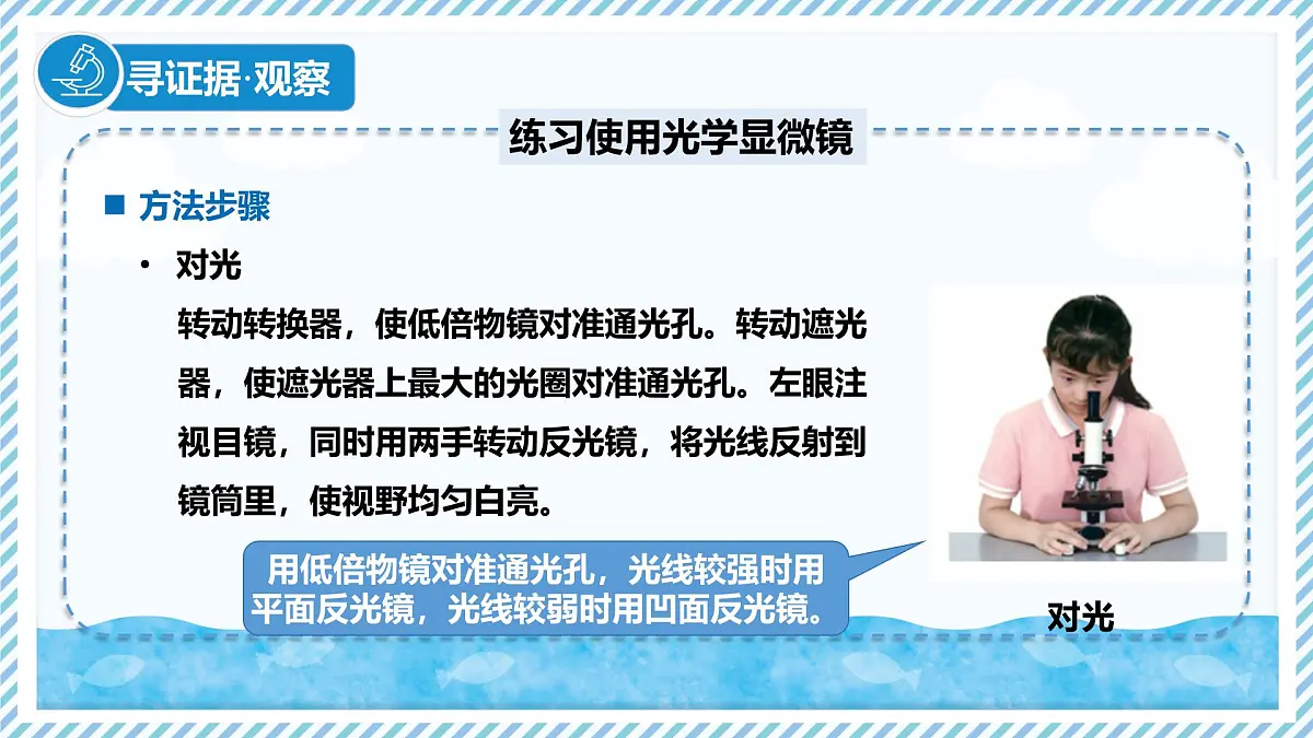 1.1.1显微镜的使用（教学课件）——初中生物学冀少版（2024）七年级上册第6页