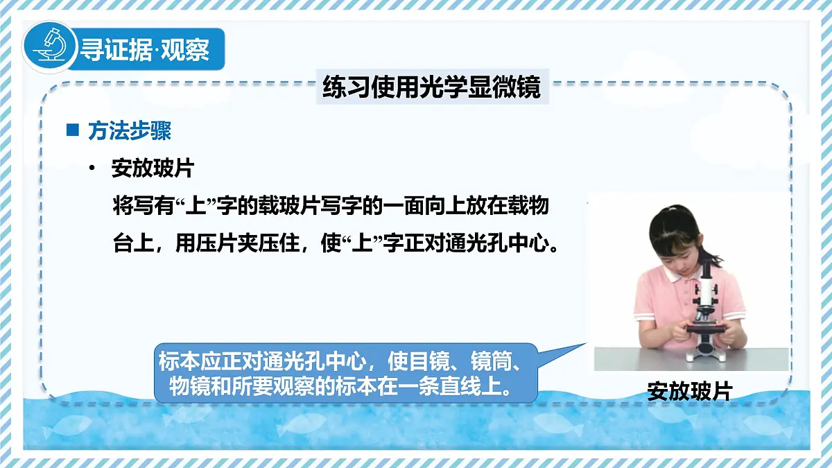 1.1.1显微镜的使用（教学课件）——初中生物学冀少版（2024）七年级上册第7页