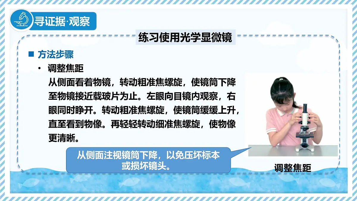 1.1.1显微镜的使用（教学课件）——初中生物学冀少版（2024）七年级上册第8页