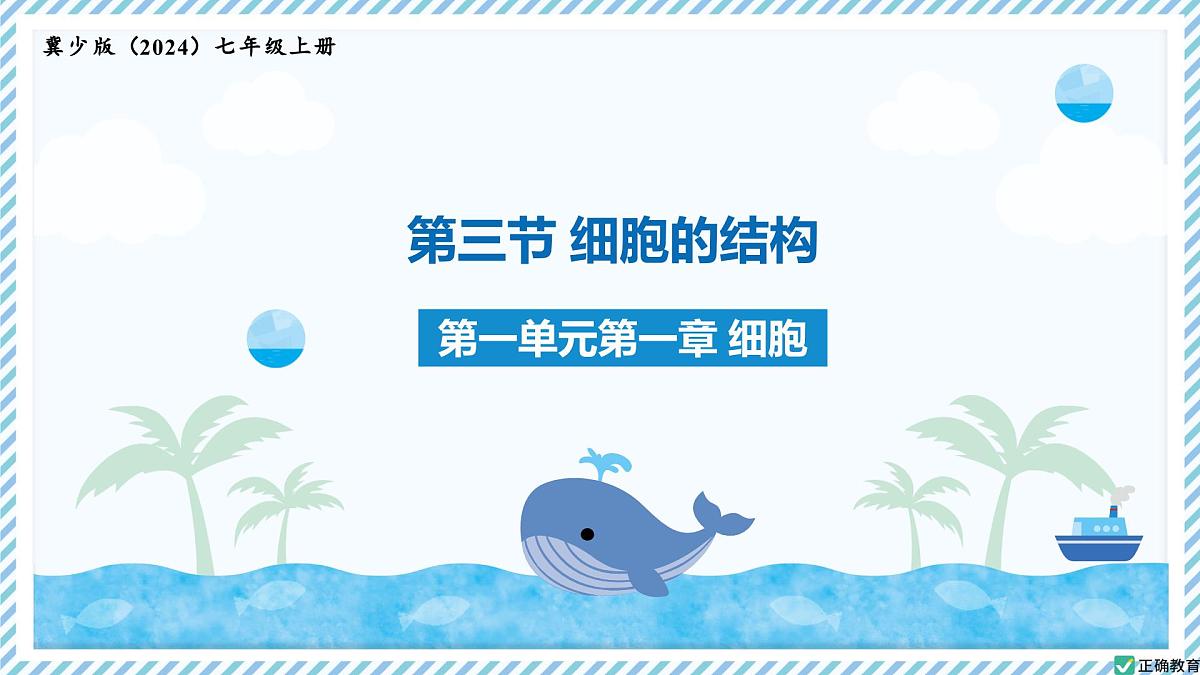 1.1.3细胞的结构（教学课件）——初中生物学冀少版（2024）七年级上册第1页