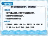 1.1.3細(xì)胞的結(jié)構(gòu)（教學(xué)課件）——初中生物學(xué)冀少版（2024）七年級上冊