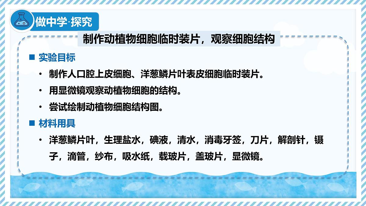 1.1.3细胞的结构（教学课件）——初中生物学冀少版（2024）七年级上册第4页