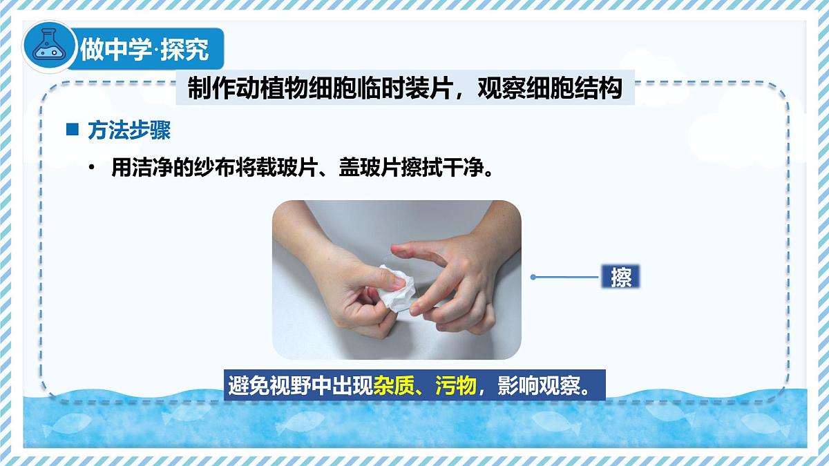 1.1.3细胞的结构（教学课件）——初中生物学冀少版（2024）七年级上册第5页
