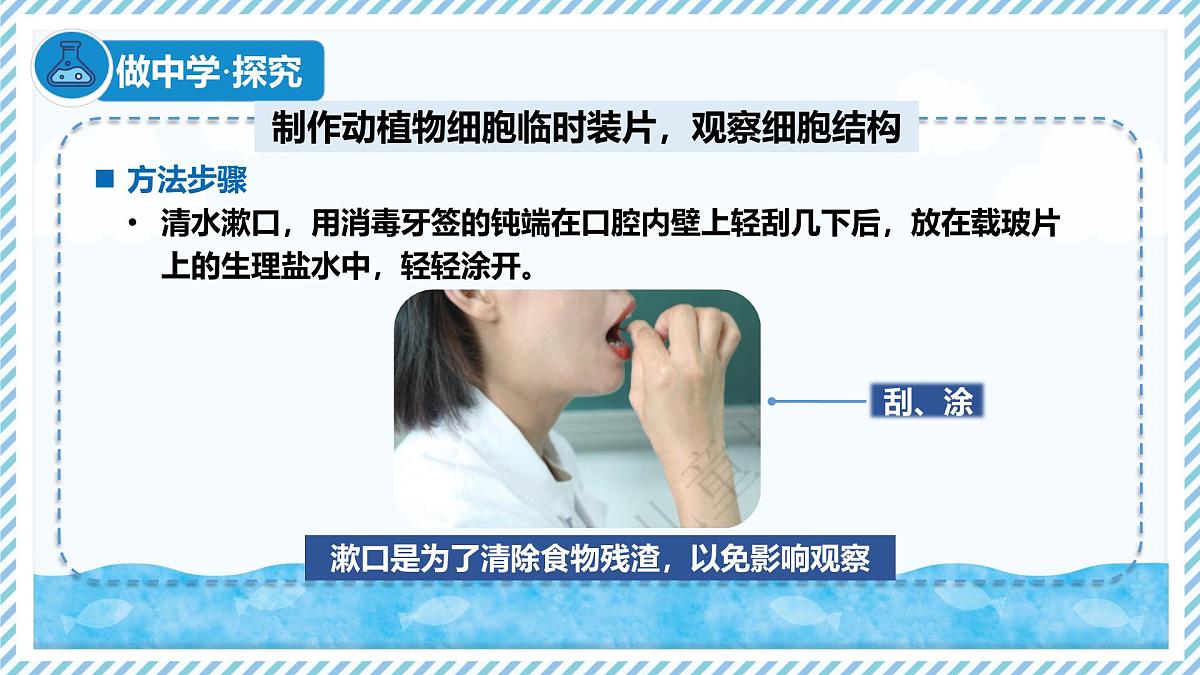 1.1.3细胞的结构（教学课件）——初中生物学冀少版（2024）七年级上册第7页