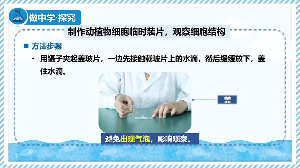 1.1.3细胞的结构（教学课件）——初中生物学冀少版（2024）七年级上册第8页