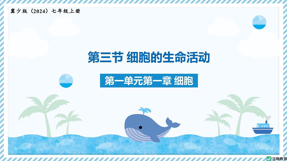 1.1.4细胞的生命活动（教学课件）——初中生物学冀少版（2024）七年级上册第1页