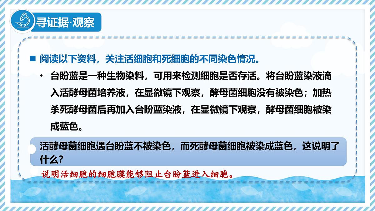 1.1.4细胞的生命活动（教学课件）——初中生物学冀少版（2024）七年级上册第5页