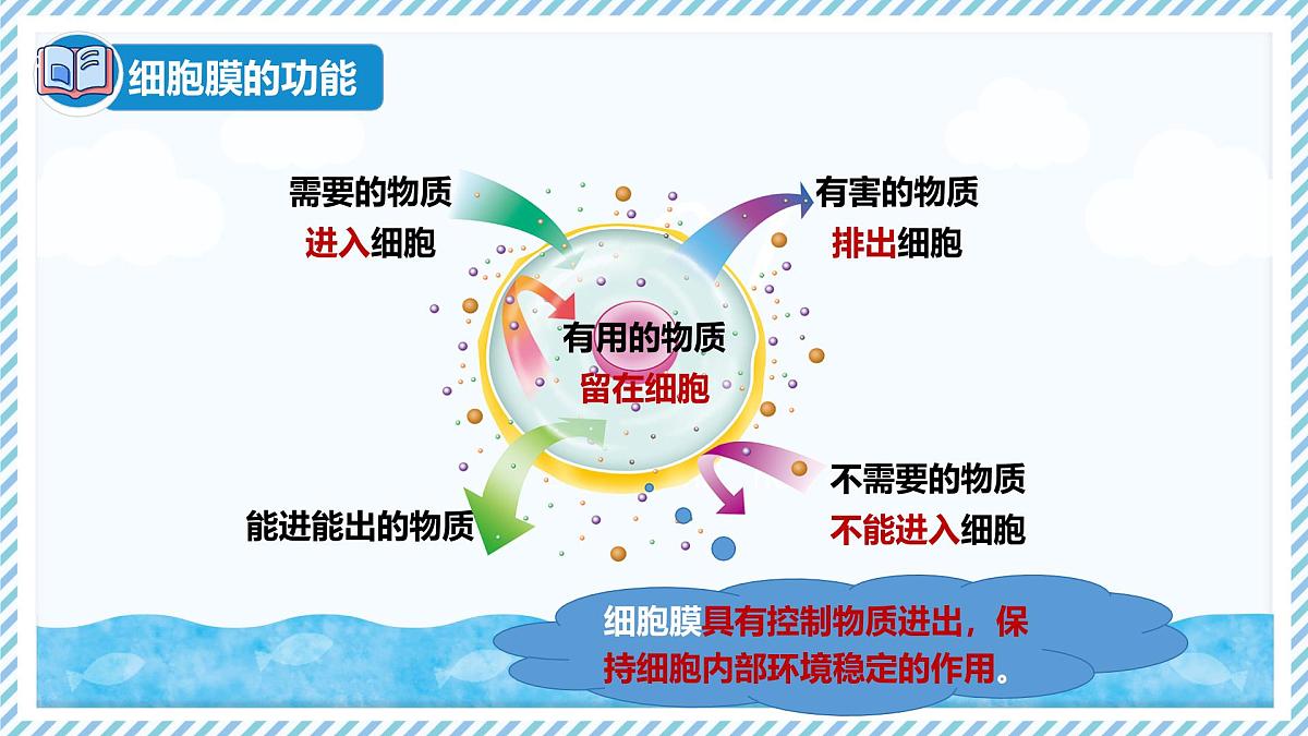 1.1.4细胞的生命活动（教学课件）——初中生物学冀少版（2024）七年级上册第8页