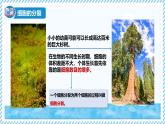 1.2.1細(xì)胞的分裂（教學(xué)課件）——初中生物學(xué)冀少版（2024）七年級上冊