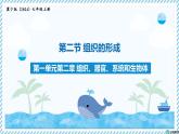 1.2.2組織的形成（教學(xué)課件）——初中生物學(xué)冀少版（2024）七年級上冊
